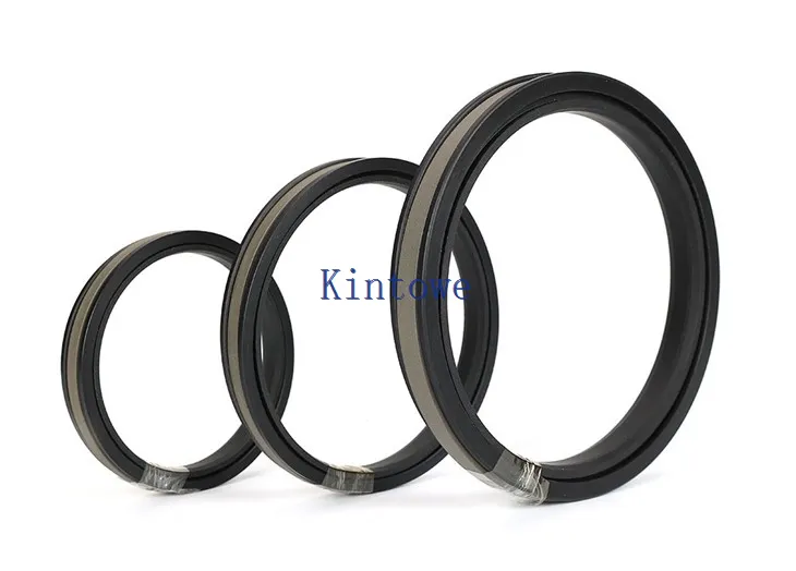 Samningur tvöfaldur leikandi stimplaþéttingar